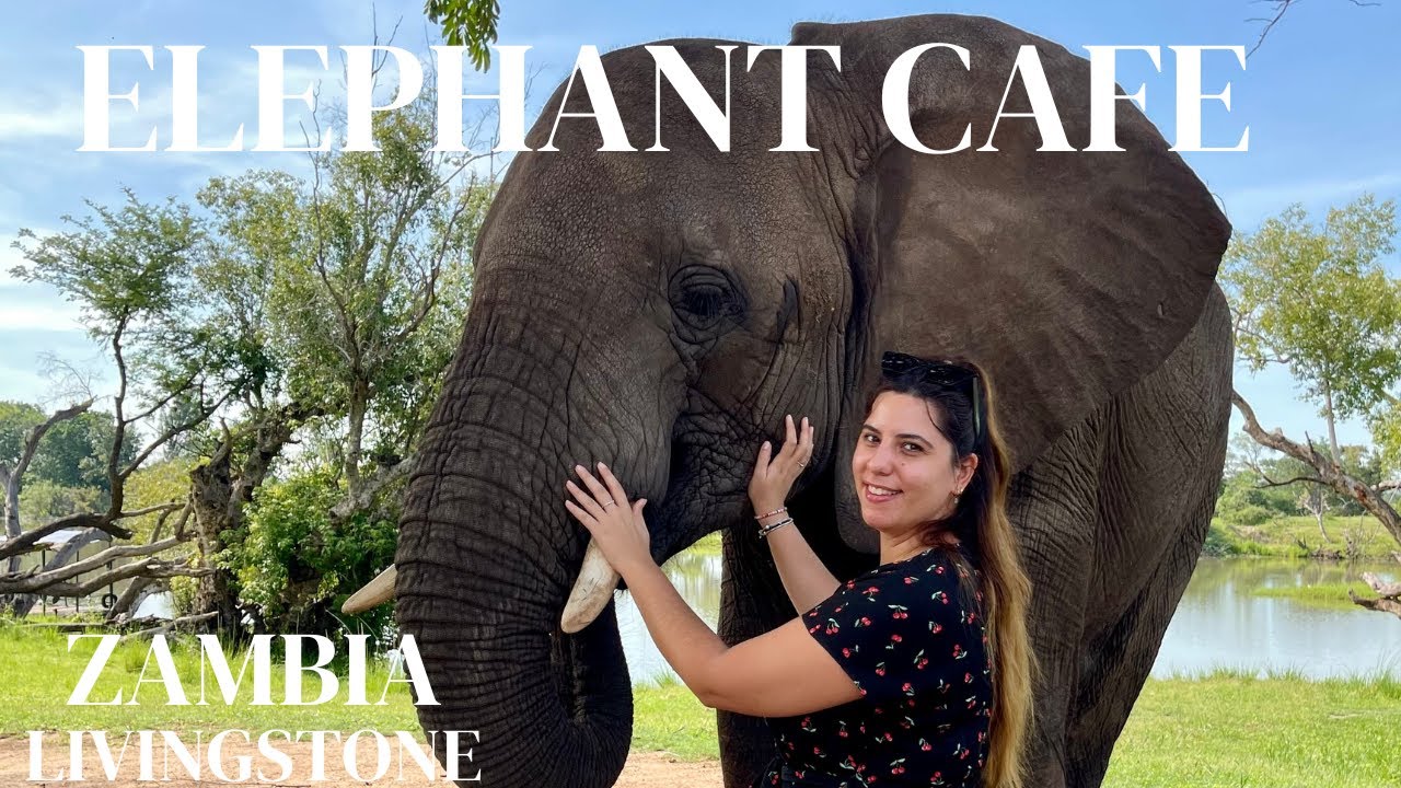 The Elephant Cafe | Livingstone Zambia
