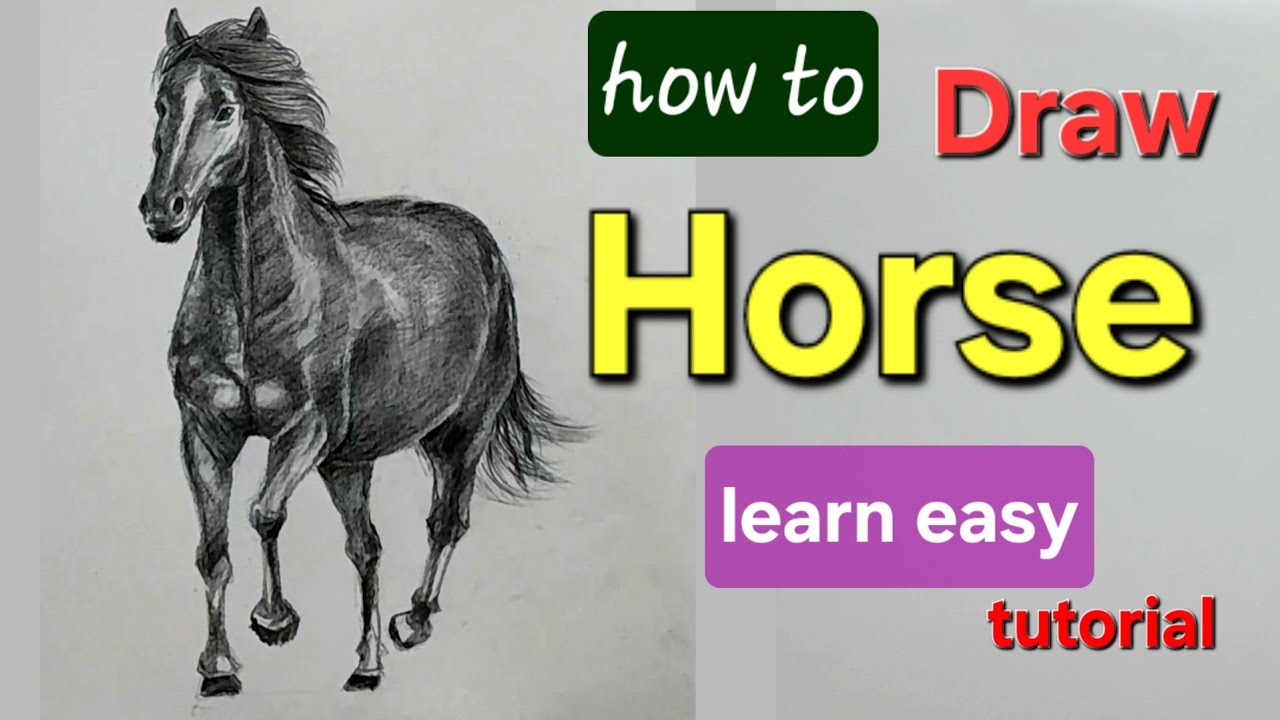 Learn Easy How to Draw a Horse | Shading Drawing Tutorial
