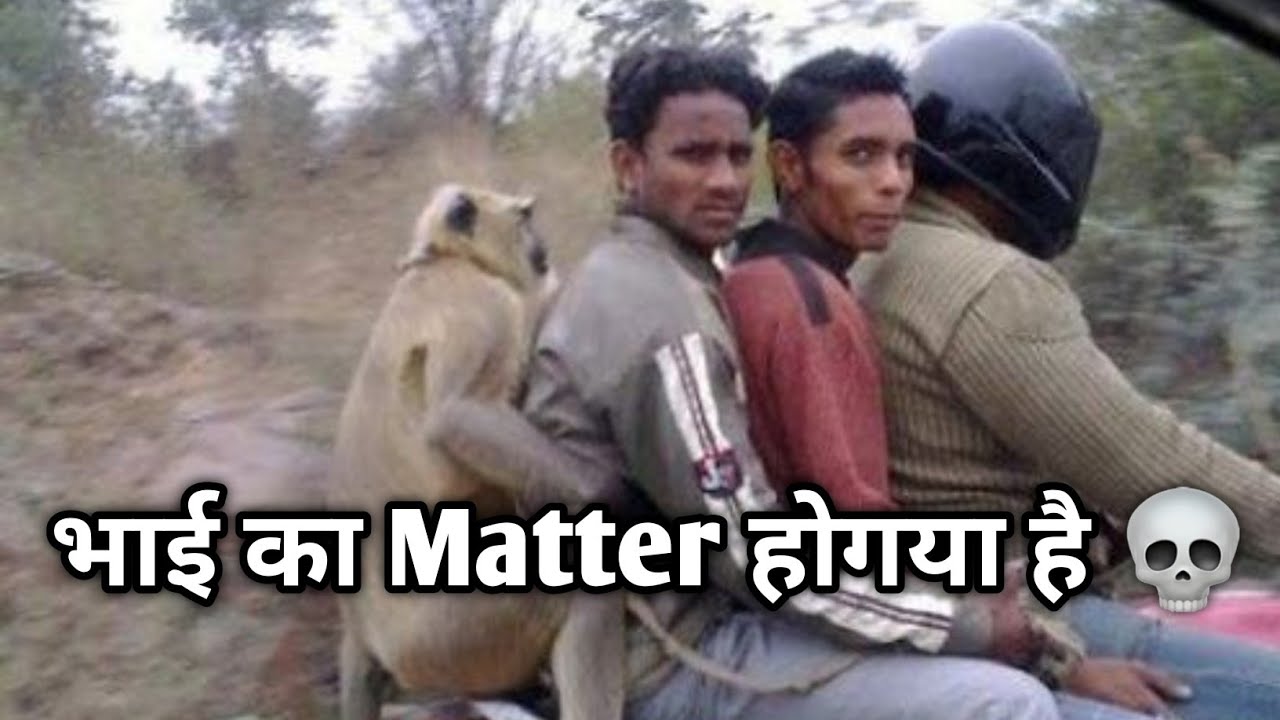 Daily Hindi Memes Trending memes Indian Meme Compilation Pt 30