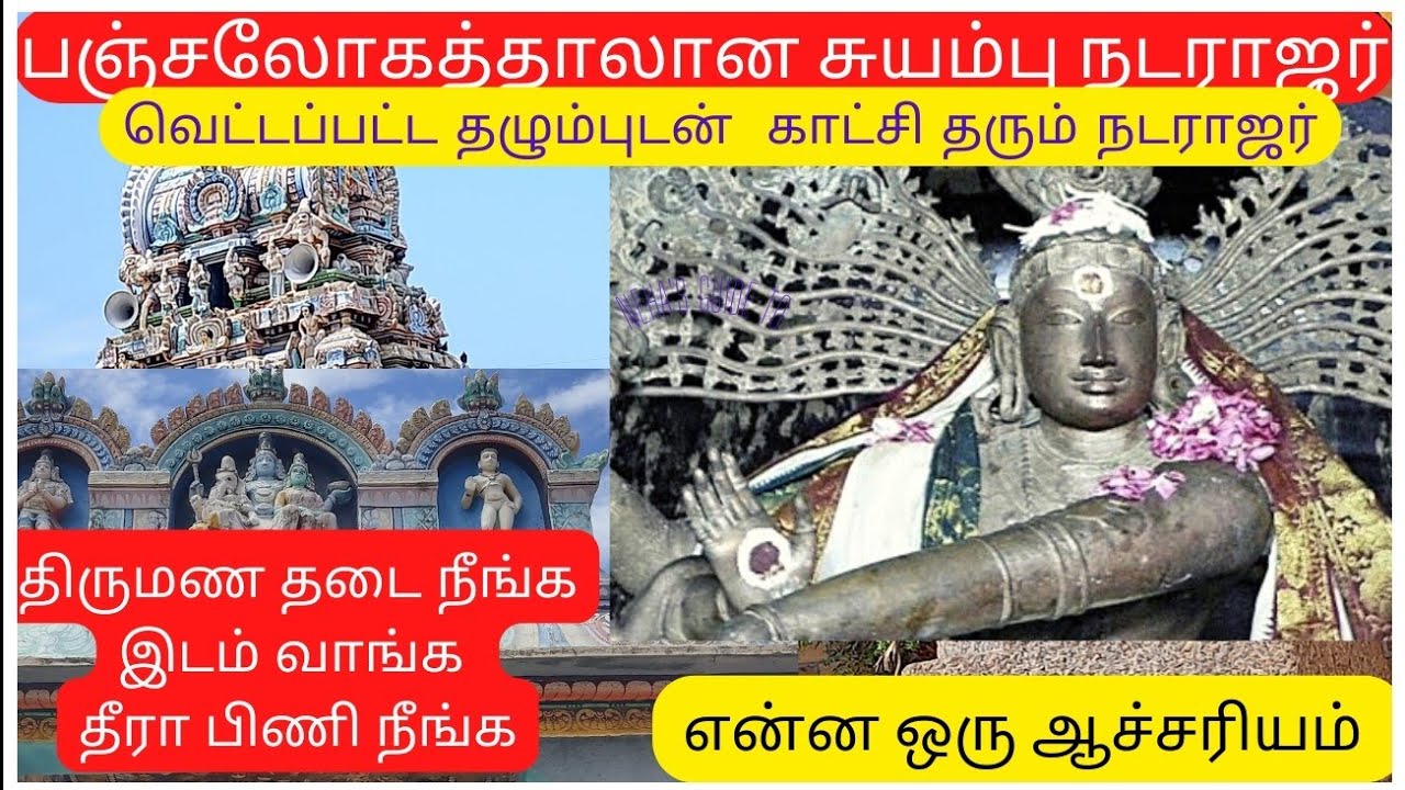 konerirajapuram nataraja temple | konerirajapuram uma maheswarar temple | கோனேரிராஜபுரம் நடராஜர்