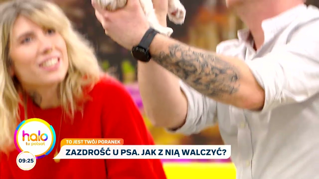 Zazdrość u psów? | halo tu polsat