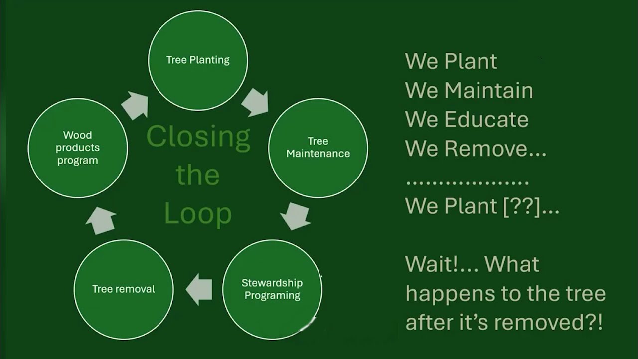 ILI CPD Webinar | Camp Small: closing the loop on community forestry by Shaun Preston (Dec25)