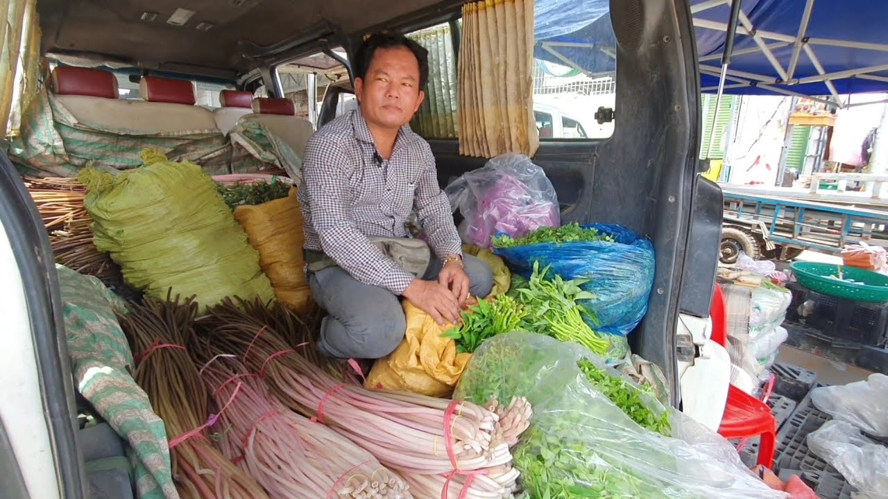 ប្រមូលទិញបន្លែស្រែ ពីកសិករដាំនៅស្វាយរៀង មកលក់នៅផ្សារនាគមាស អ្នកលក់មុខរោងចក្រដណ្ដើមគ្នាទិញយកទៅលក់បន្ដ