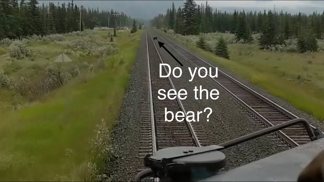 IN THE DRIVER SEAT ON A TRAIN 2020