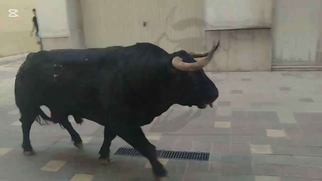 Salida y Detalles del Cerril de Montalvo en Almazora 