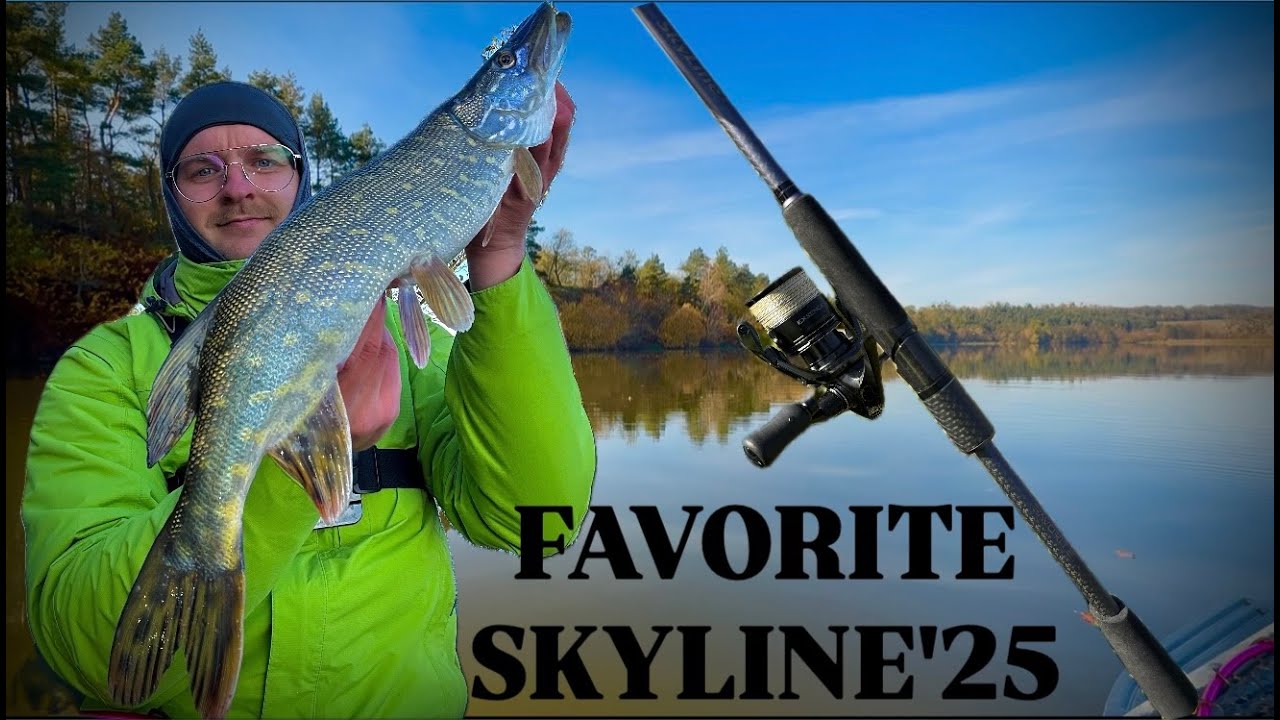 ОПЫБИЛ НОВЫЙ СПИНИНГ|ЩУКА ОКУНЬ|Favorite Skyline ʼ25 SKY1-832L 2.51m 3-12g