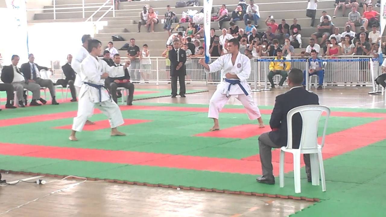 A ELITE !! KARATE SHORIN RYU