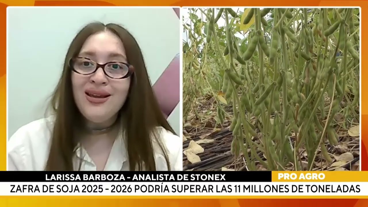 Zafra de soja 2025 - 2026 podría superar las 11 millones de toneladas