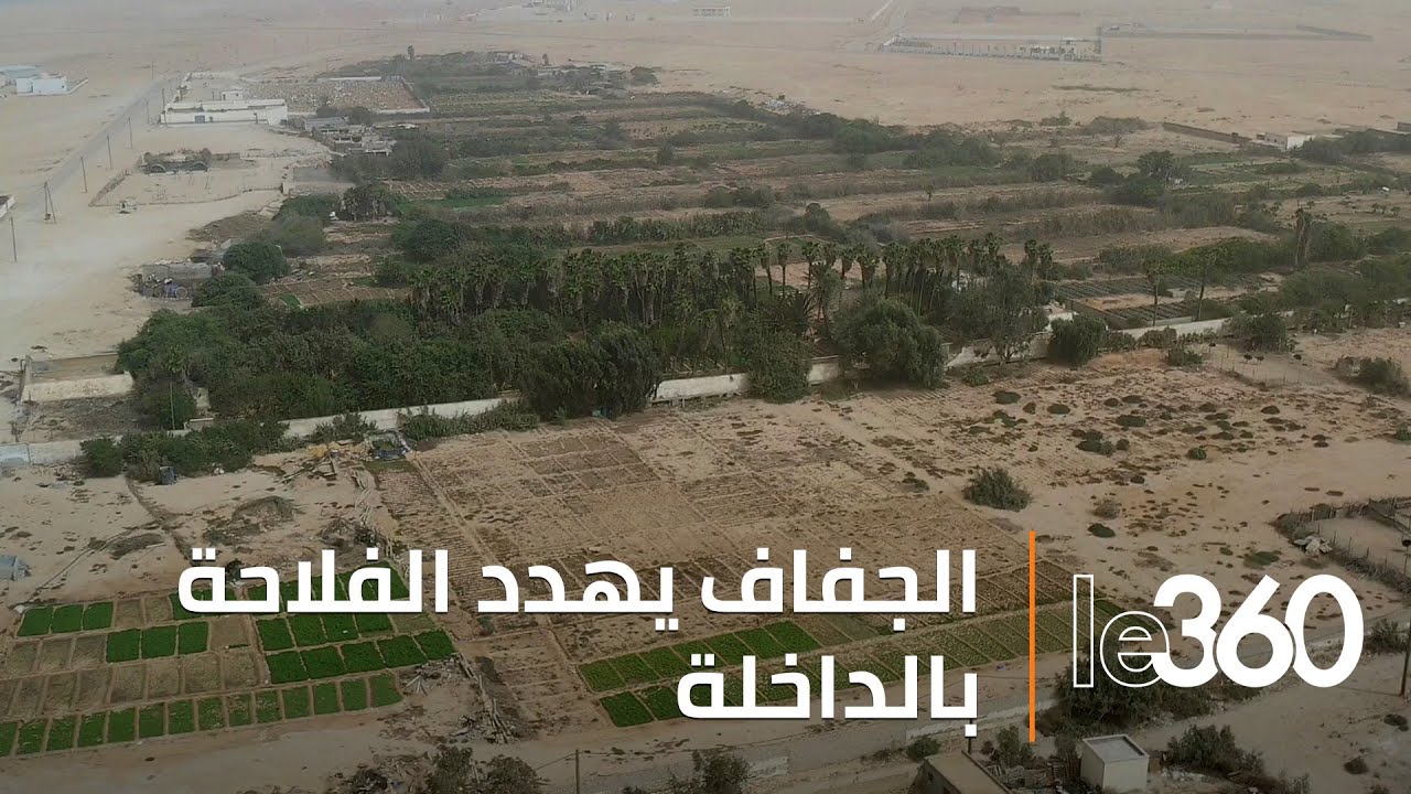 تراجع منسوب المياه يهدد الفلاحة وتربية المواشي بتاورطة ضواحي الداخلة