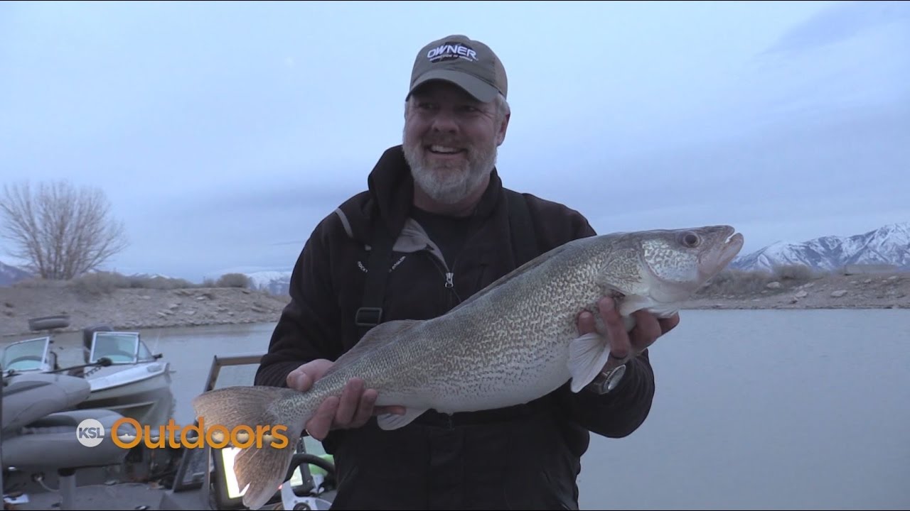 Walleye Fishing at Utah Lake
