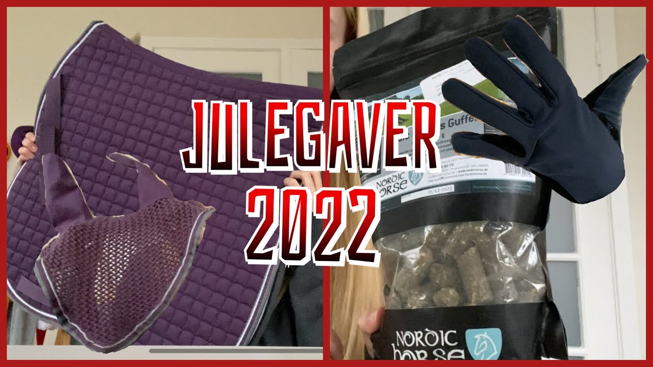 Julegavehaul 2022 - hesteting