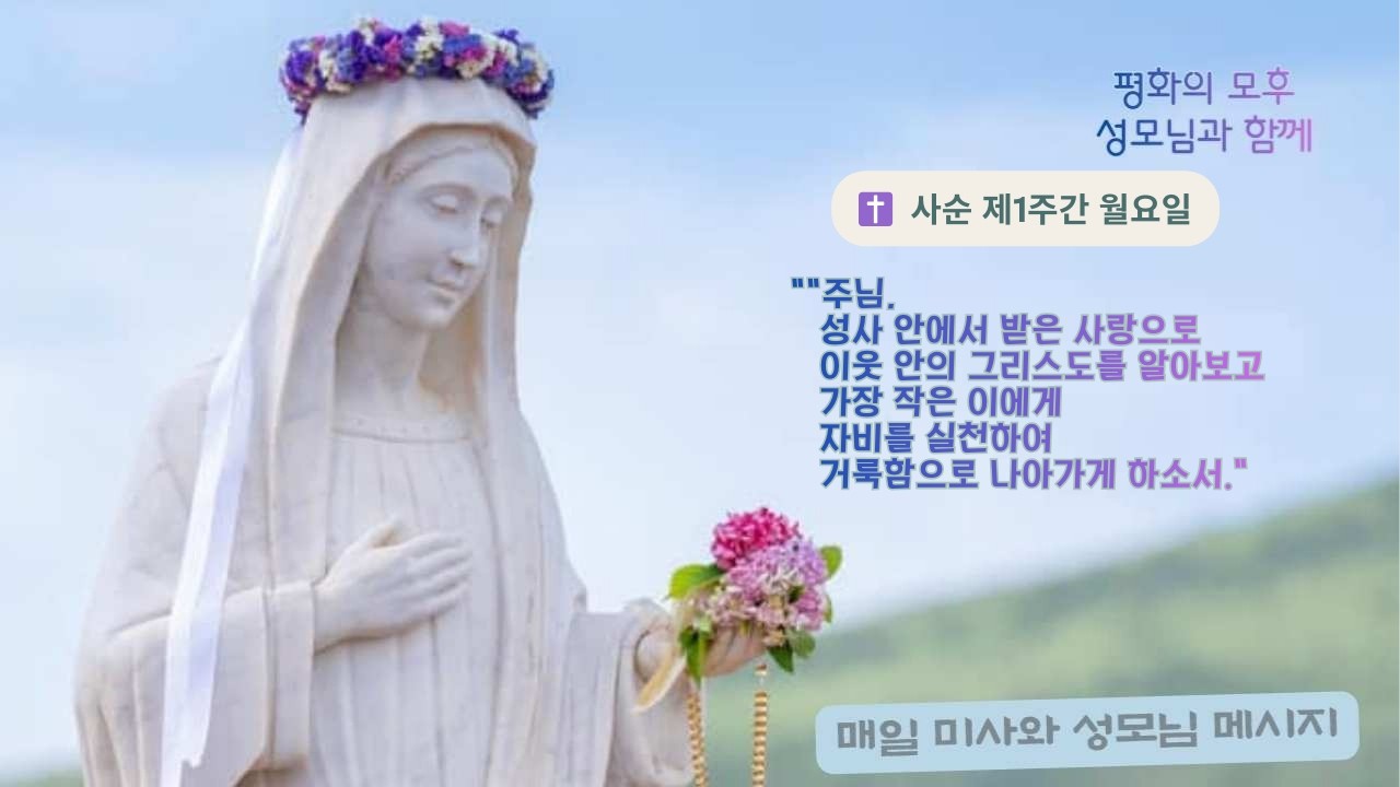 ✝️ 자비의 심판과 사랑의 기준 