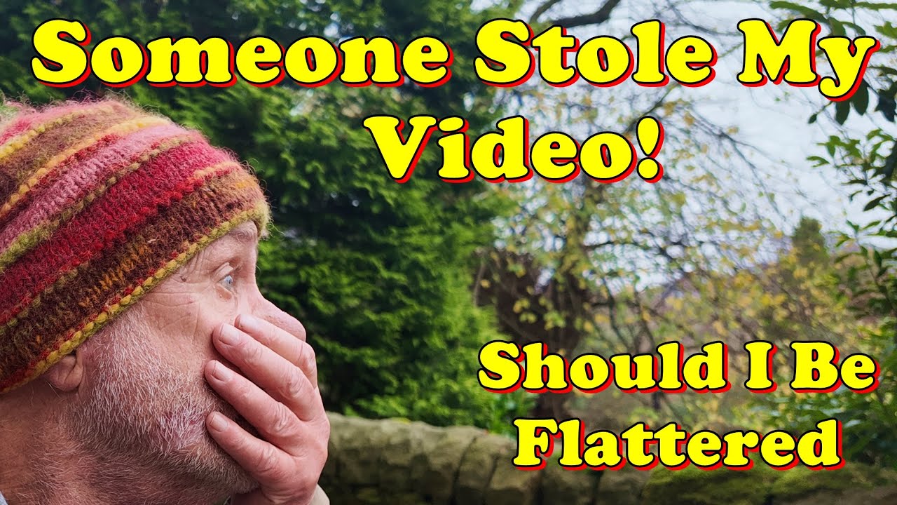 Someone Stole My Video! | Should I Be Flattered