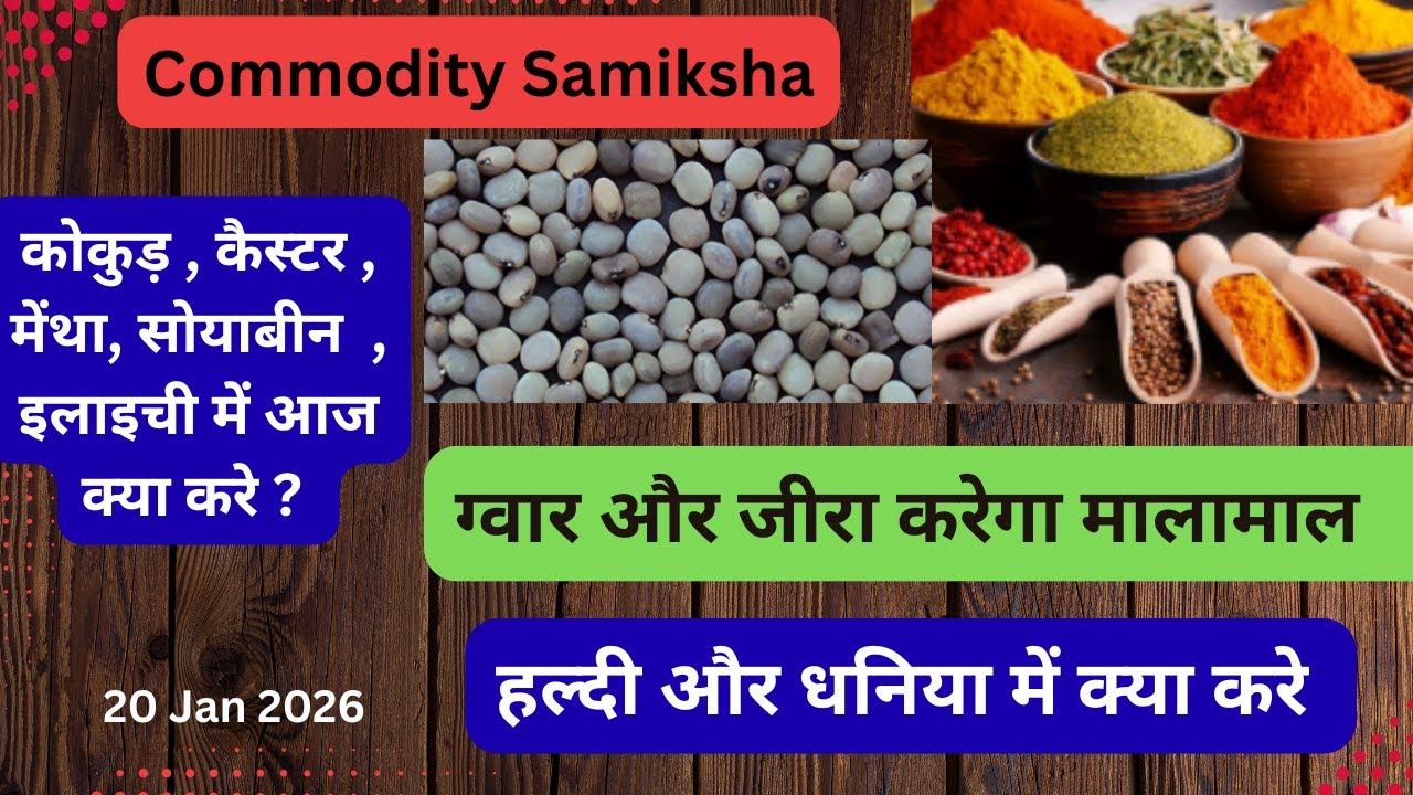 ग्वार और जीरा करेगा मालामाल .. हल्दी और धनिया में क्या करे?/Commodity Samiksha