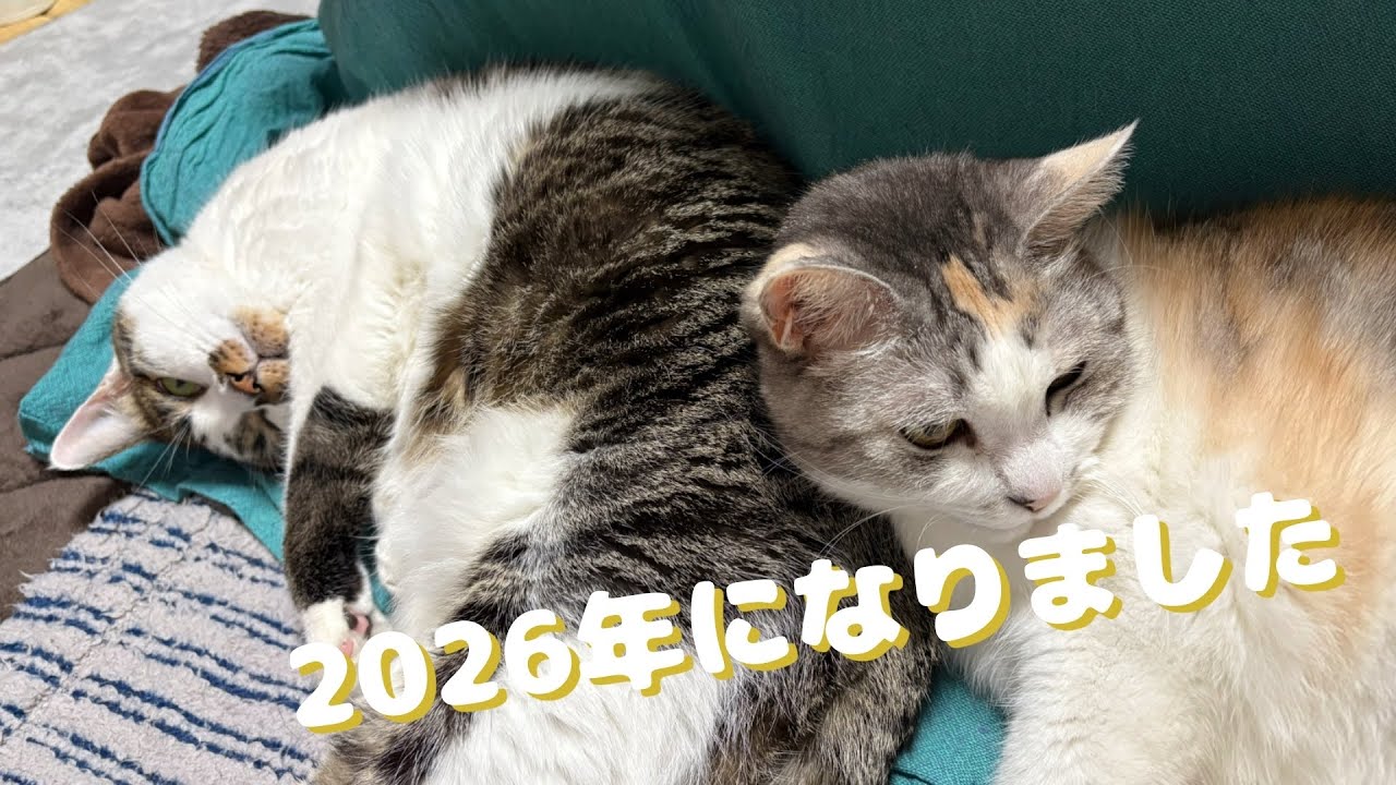 2026年になりました
