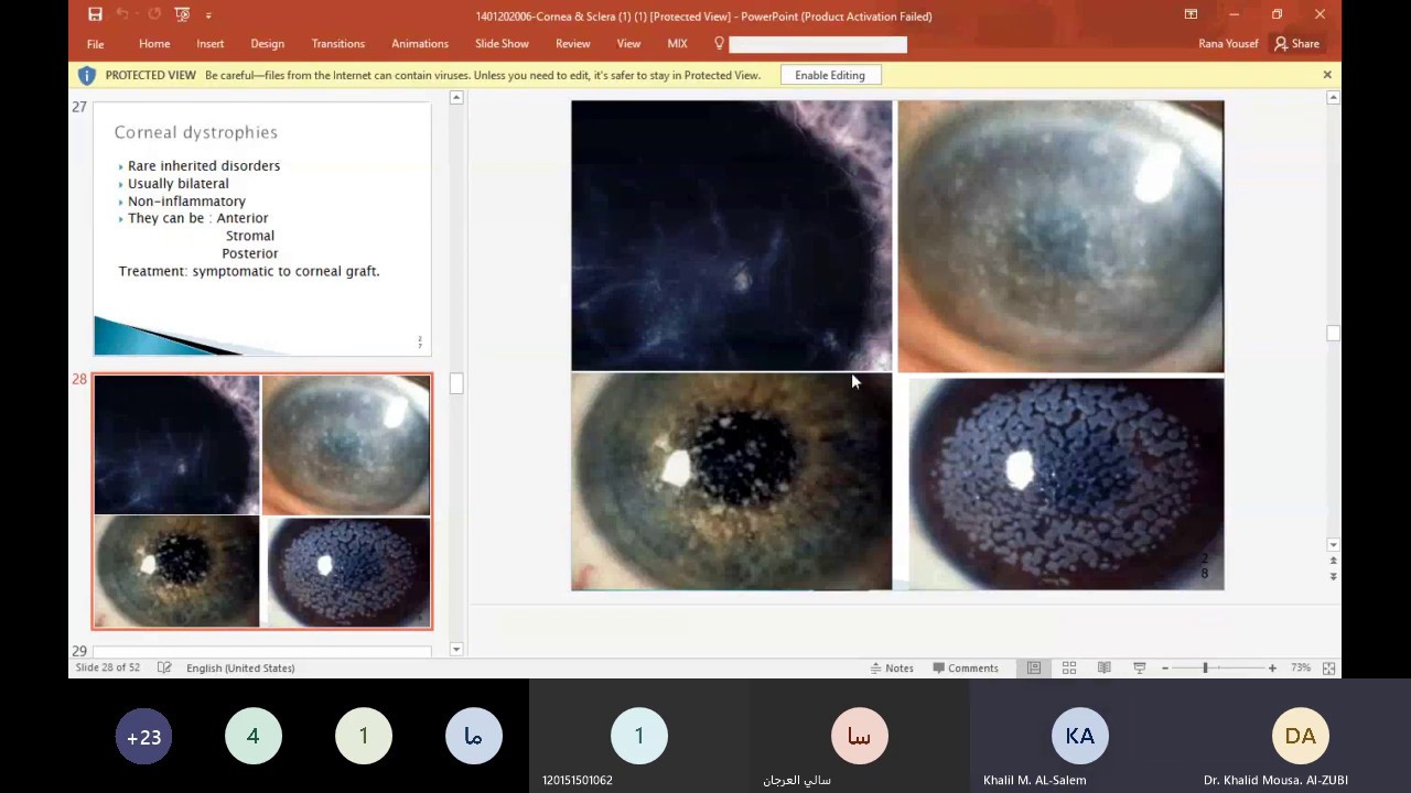 cornea lecture students