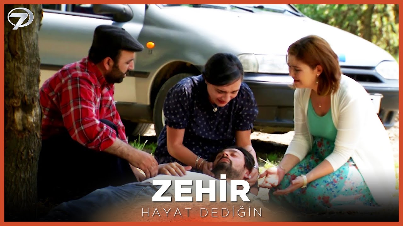 Zehir - Hayat Dediğin