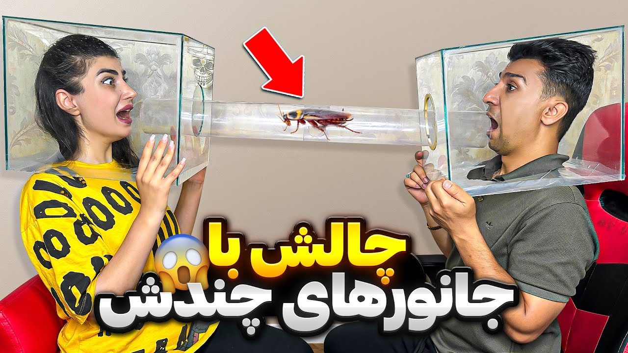 سوسک اومد صورتمون😰مجازات با عقرب😳
