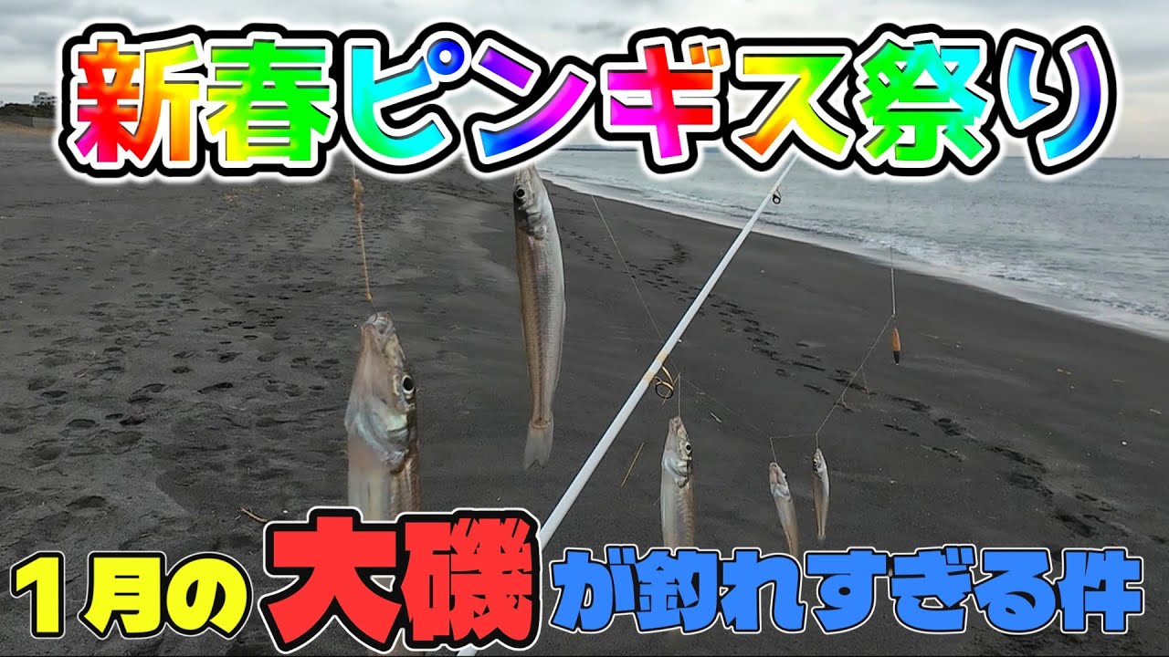 【ゆっくり実況】新春ピンギス祭り‼ どうして釣れるの？激寒の大磯海岸が釣れすぎた件