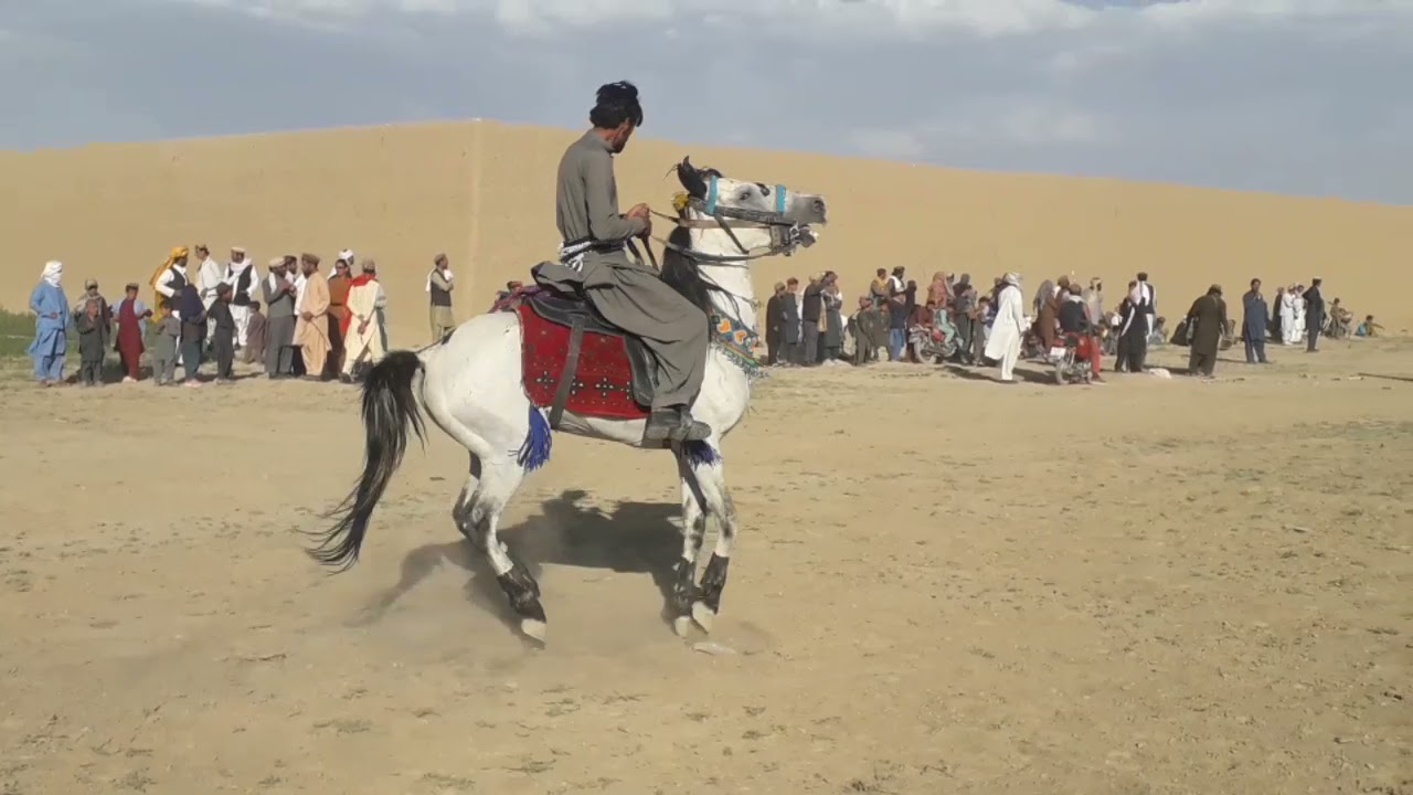 paktika katawaz bakkhil Niza bazi