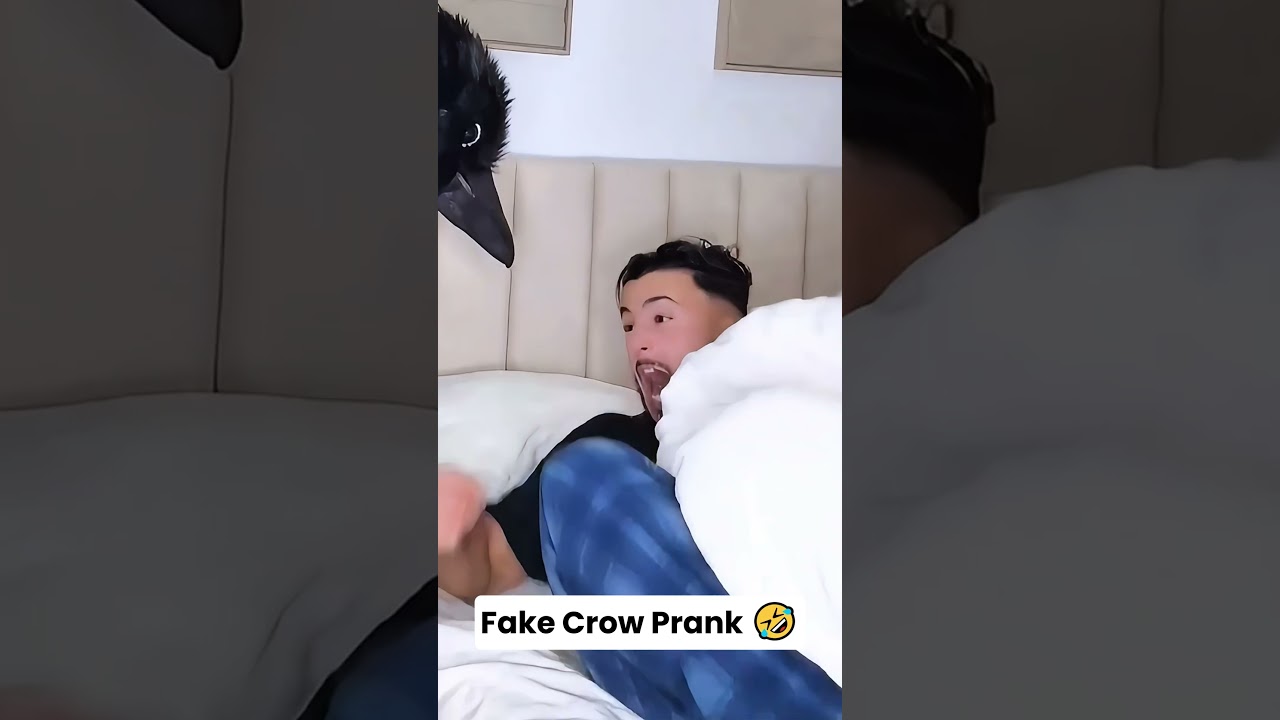 Fake crow prank 