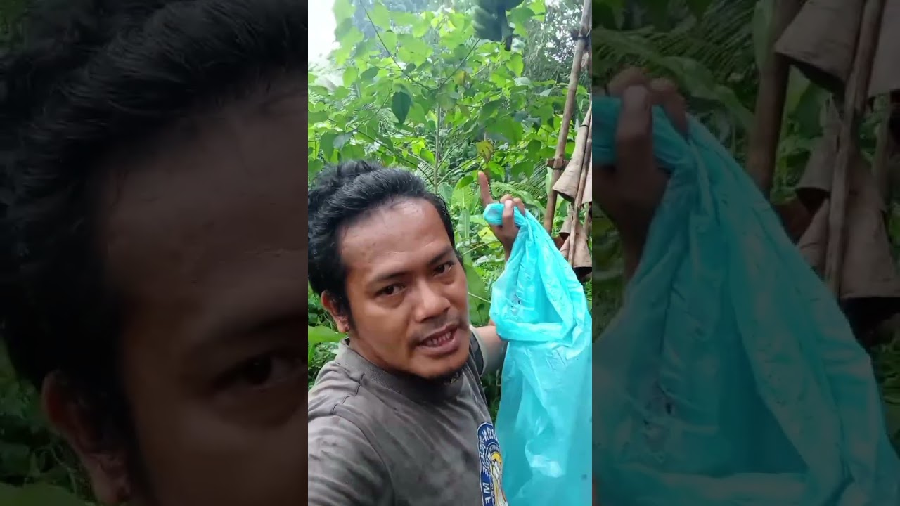 💚💛❤️ Dere na pod ko sa akong area mego 