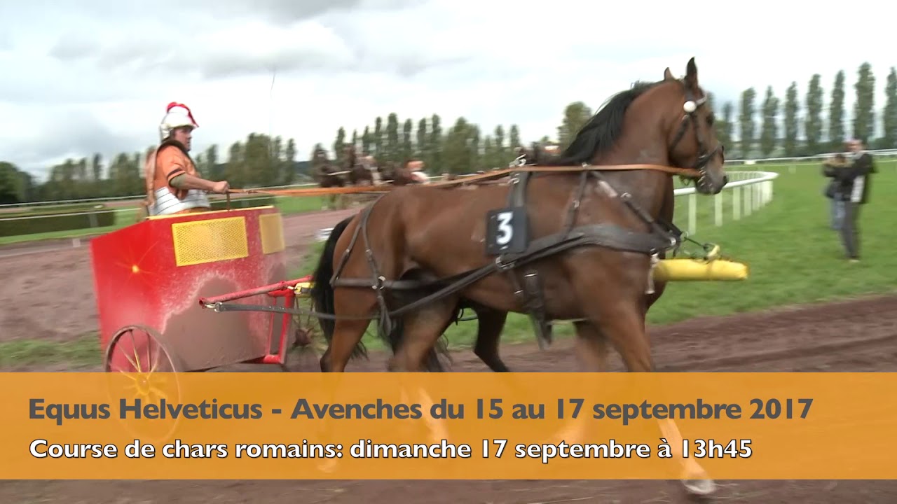 Equus helveticus - chars romains