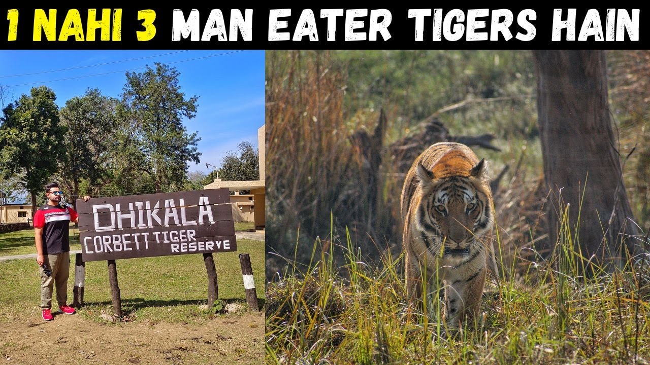 Jim Corbett ke Man Eater Tiger ka Sach | We reach DHIKALA