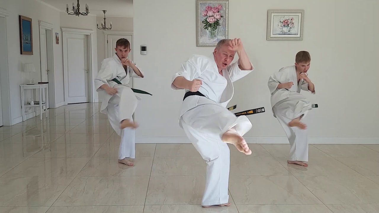 Shidokan Karate Home Training | Part 4 | Basic Combinations