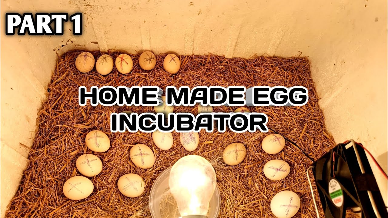 Kam Kharche Mein Banaye Egg Incubator 🐣 | Ghar Par Chuze Kaise Nikale?