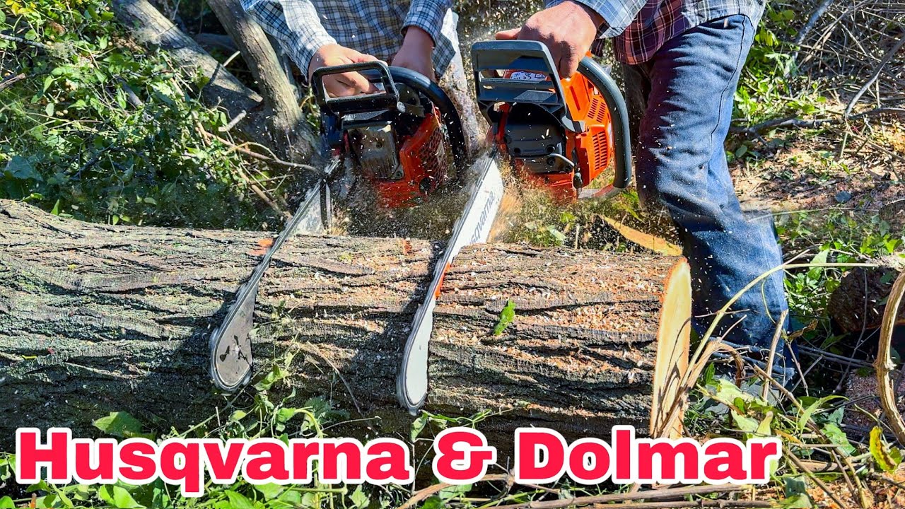 Husqvarna 372xp Vs Dolmar 111 Motorlu Testere Düellosu 😂