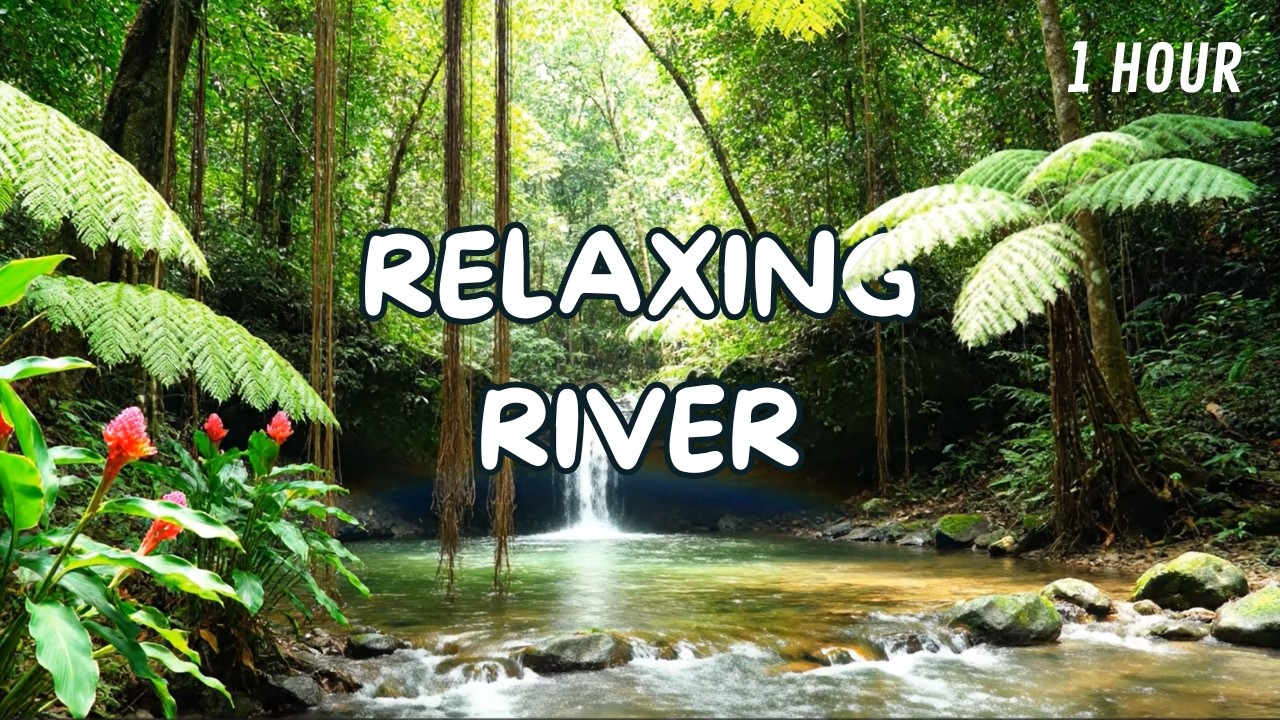 1 Hour of Relaxing River and Waterfall Sounds