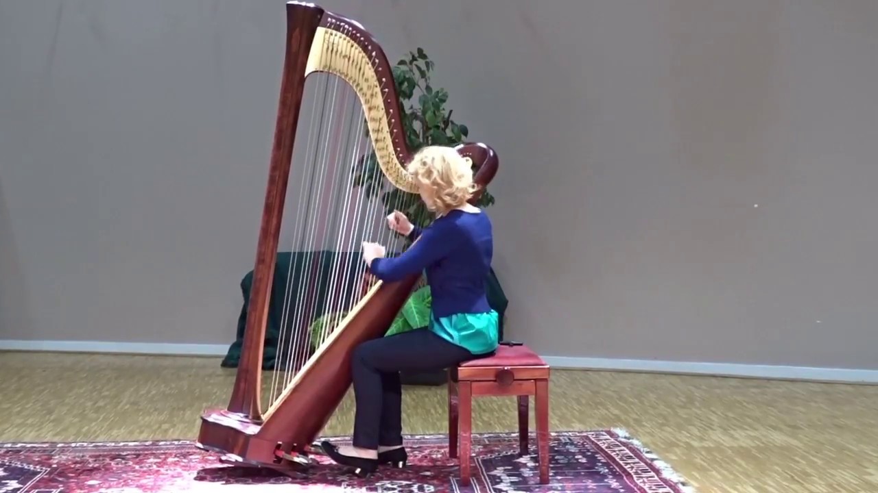 Gavotte gracieuse de Franz Joseph HAYDN
