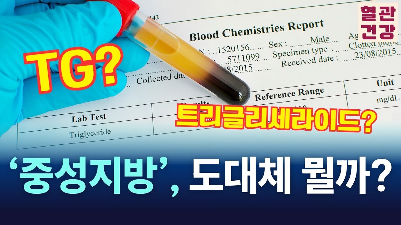 중성지방? 트리글리세라이드? 무엇인지 궁금해요. Triglycerides? I'm curious to know what it is.