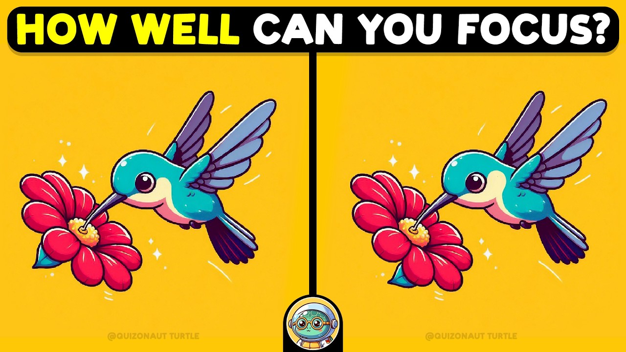 🐢🧩 Spot 3 Differences | Sharpen Your Focus 🧩🐢 | Quizonaut Turtle