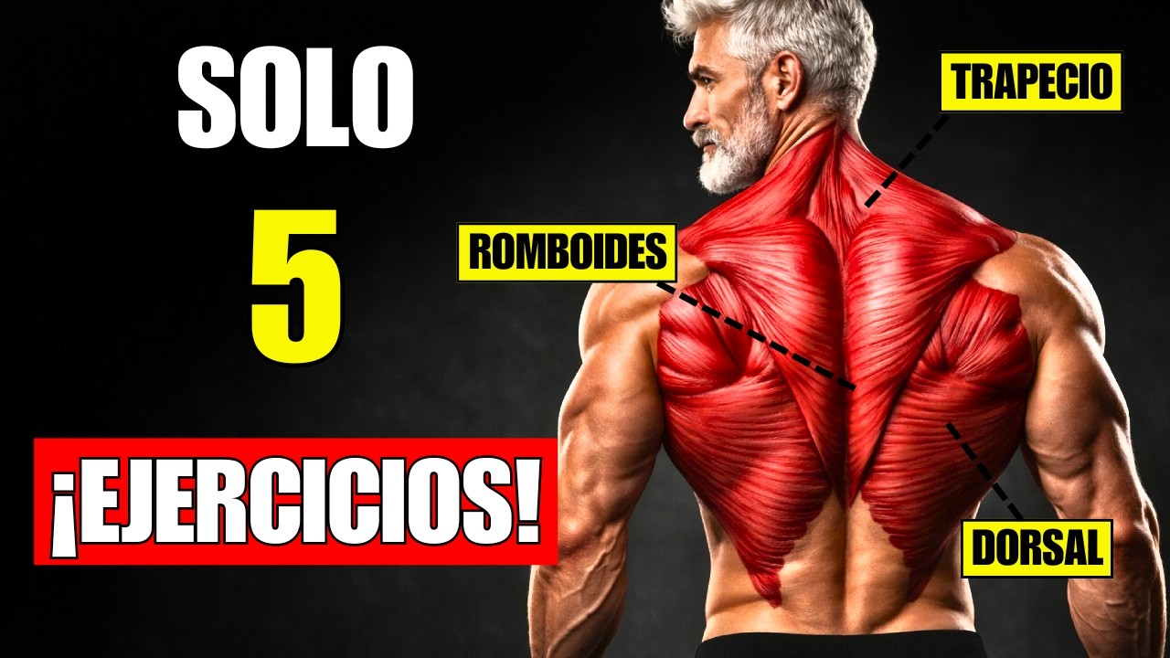Los ÚNICOS 5 Ejercicios que Necesitas para una Espalda Completa: Anchura, Densidad y Postura