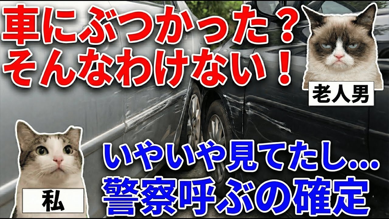【スカッと猫ミーム】自分の車に当て逃げしようとした老夫婦→ベテラン警察官登場により無事終了www