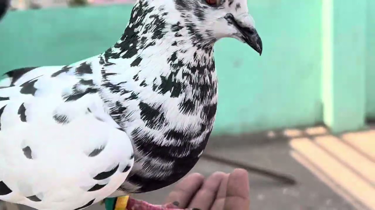💕💕💕