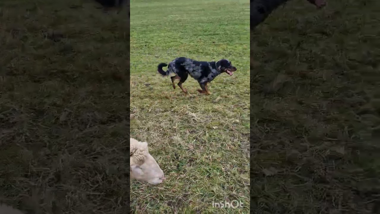 Delta beim Umstellen und Erklärung 1. Versuch
