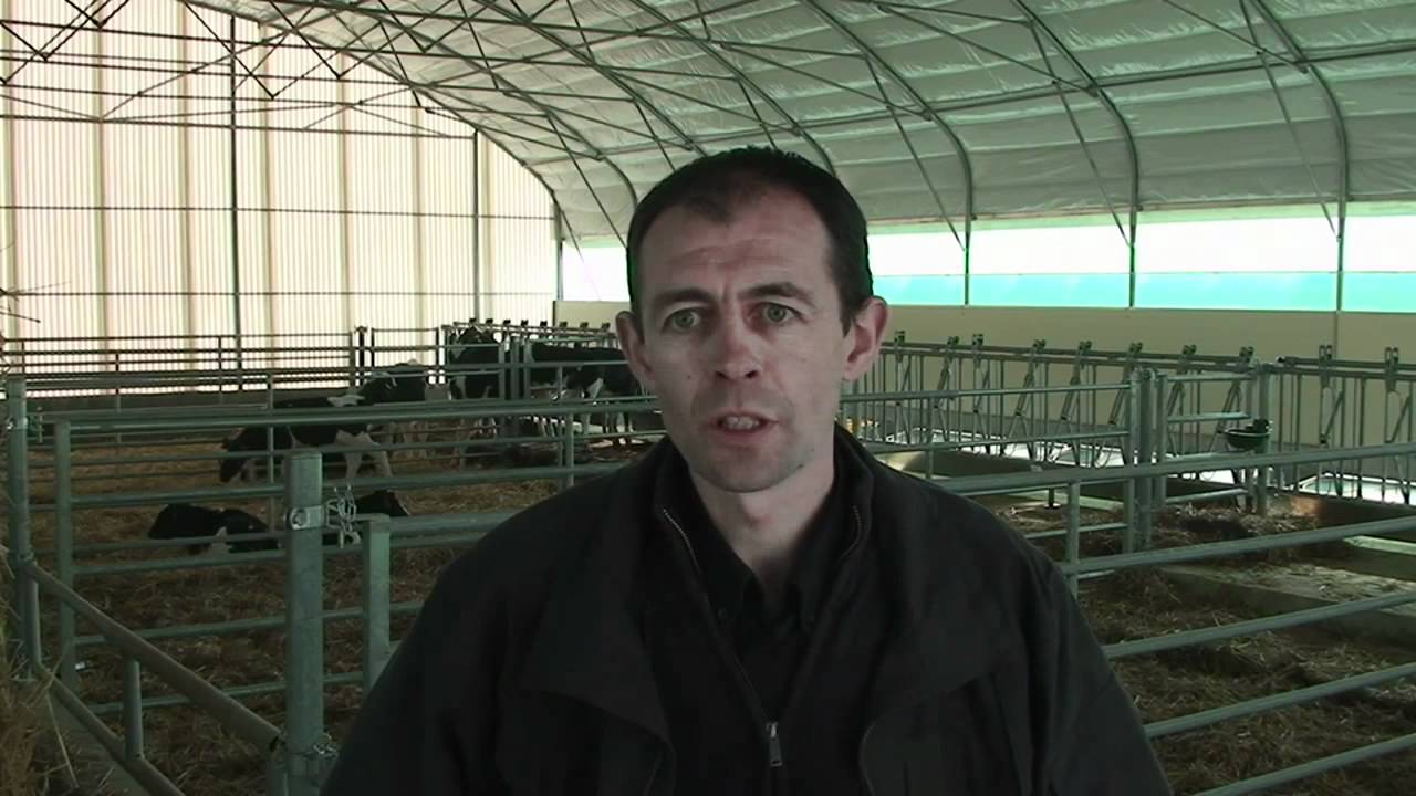Cultivert - Bâtiments tunnel d'élevage