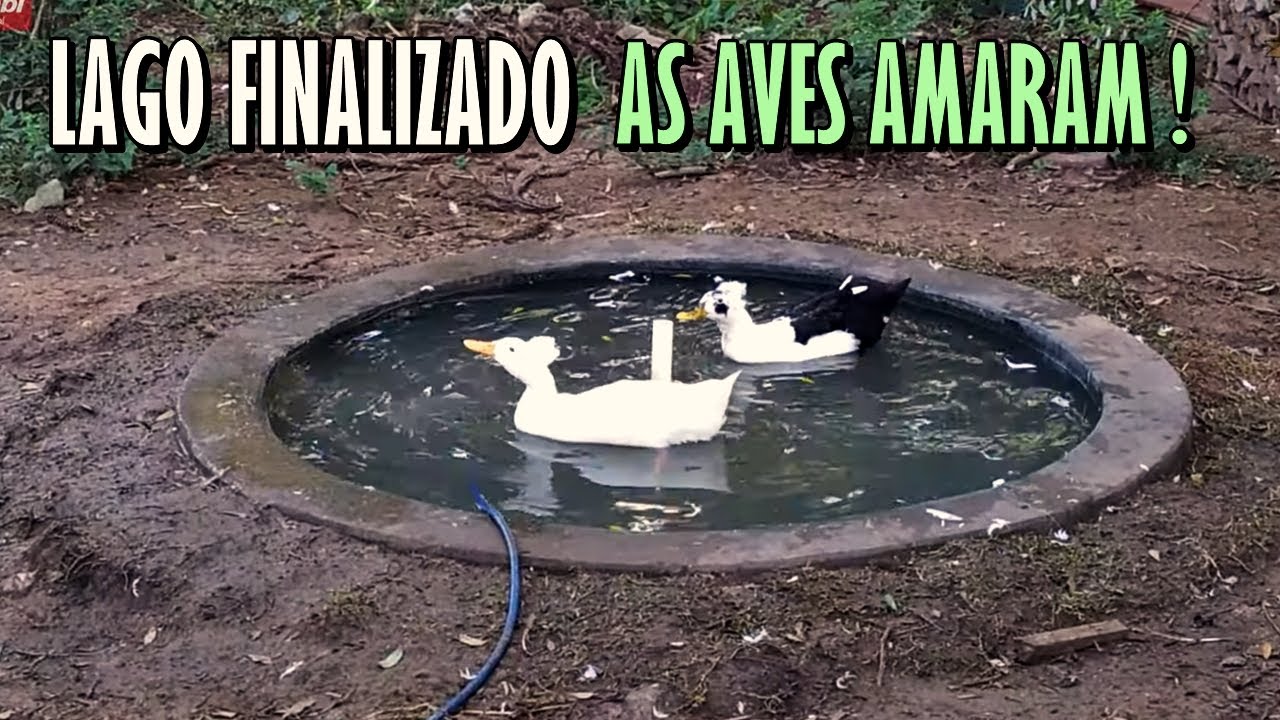 CONSTRUINDO UM LAGO PARA OS PATOS: PARTE 03 - LAGO CHEIO E PRONTO