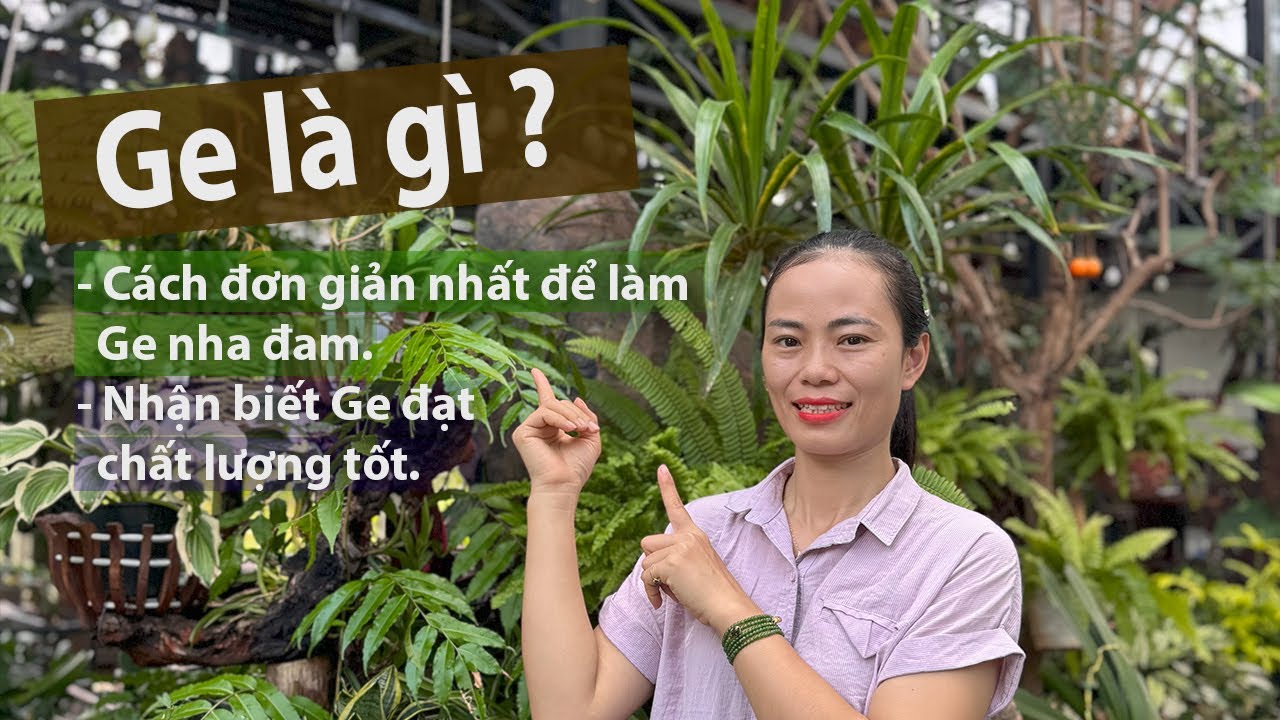 GE là gì, Cách làm GE nha đam chăm lan an toàn bền vững.#orchid#hoa_lan#orchidcare#AloeVera