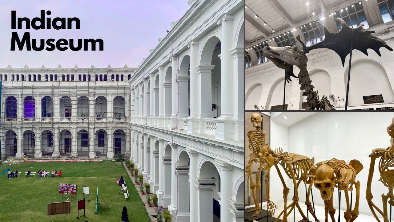 Indian Museum Kolkata | Indian Museum Kolkata Tour | India&rsquo;s Largest and Oldest Museum | 4K