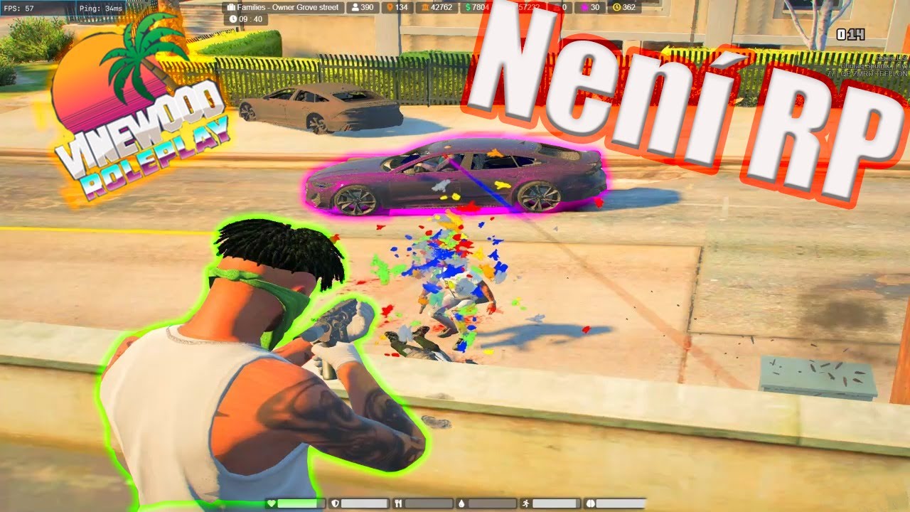 Vinewood RP jak se spr&aacute;vně erp&iacute; 😈