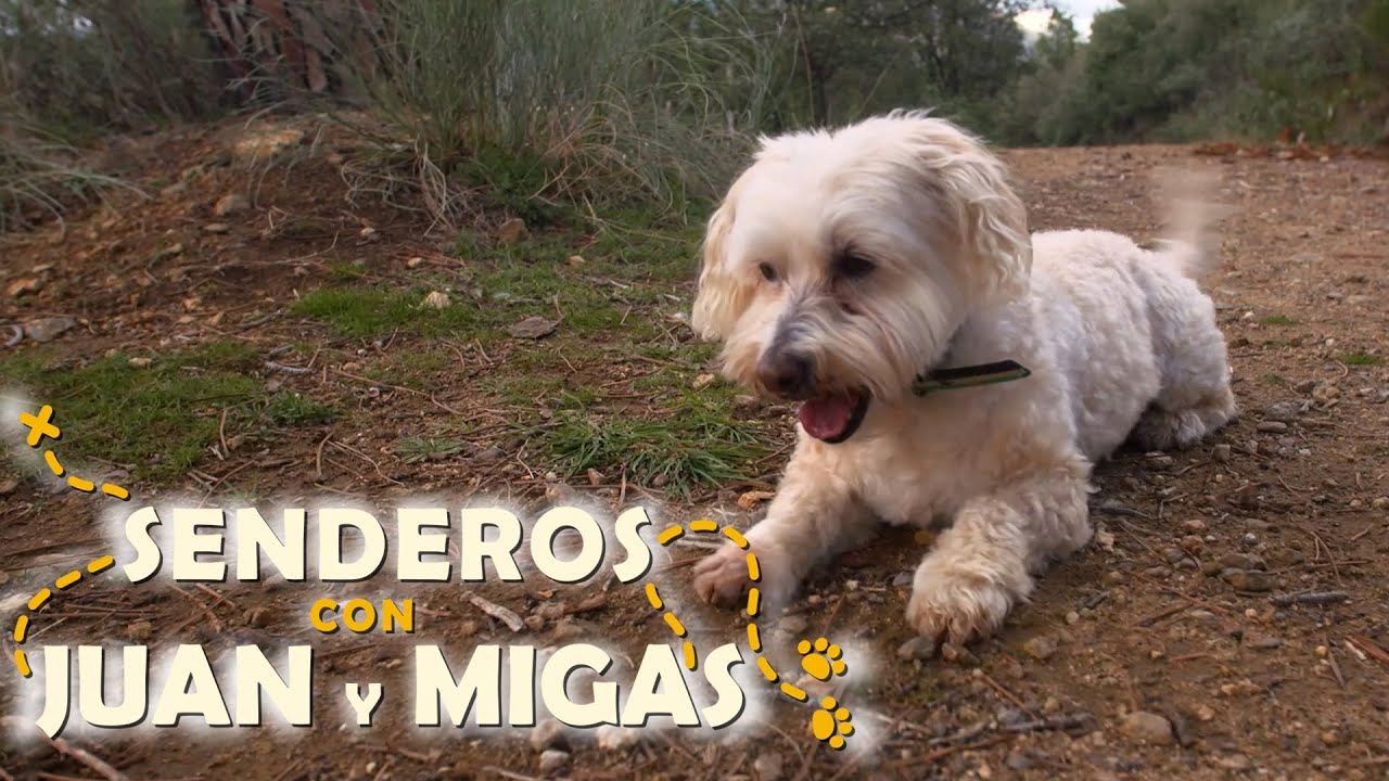Senderos con Juan y Migas - Sierra de Guadarrama | La2