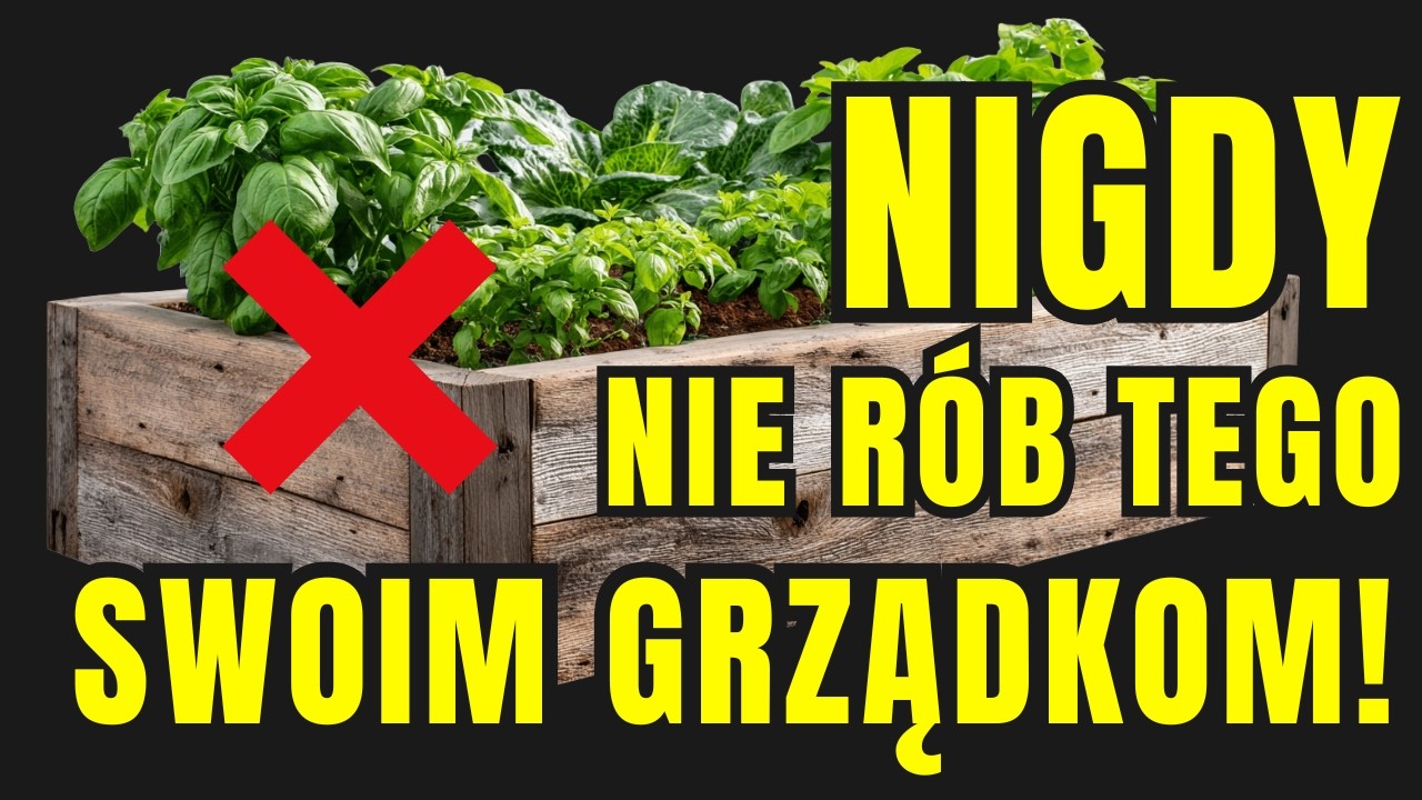 Jak Zrobić Podwyższone Grządki Czyli Ogród Na Trudne Czasy
