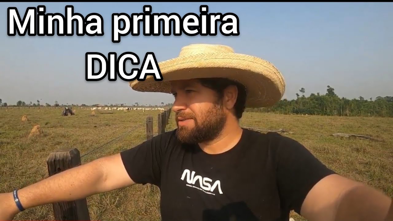 DICA DE COMO COME&Ccedil;AR CRIAR GADO PARA INICIANTES
