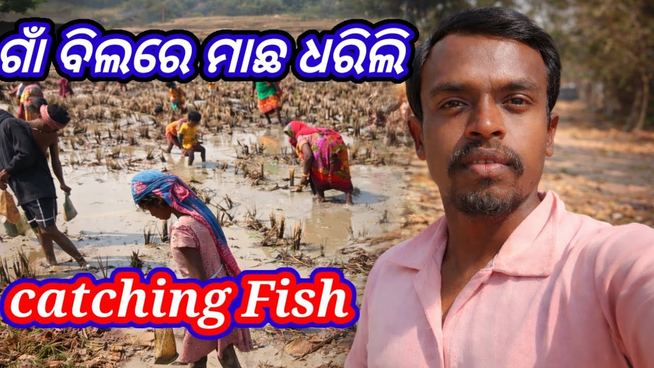 ଗାଁ ବିଲରେ ମାଛ ଧରିଲି  // Fish Vlogging // Trending Fish Vlogging Video // Viral Fish Vlogging Video 