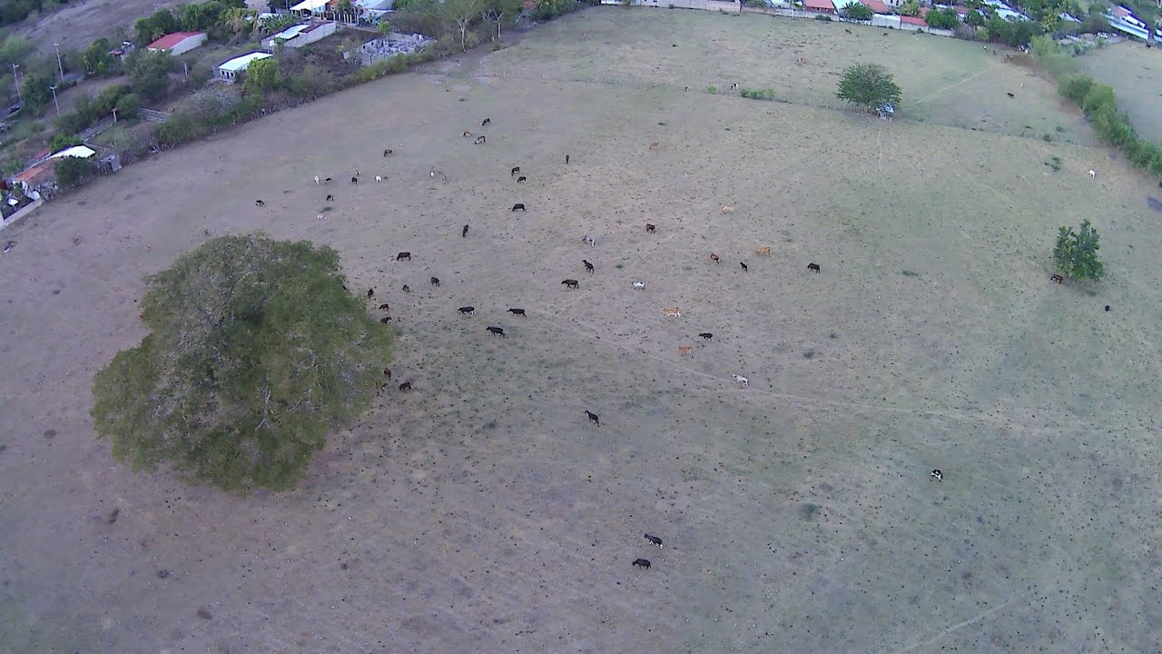 Distancia máxima del del dron l600promax con antena fpv nodificada jusgue usted 