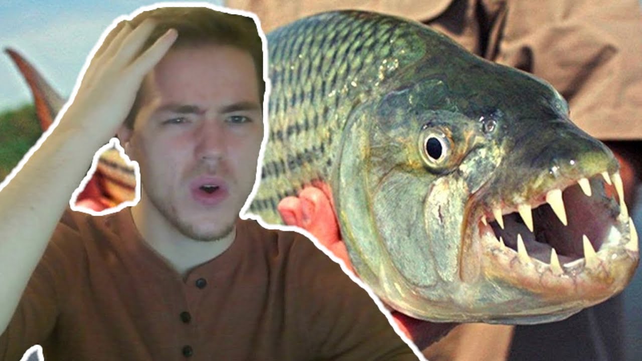 Fish Biologist reacts to 